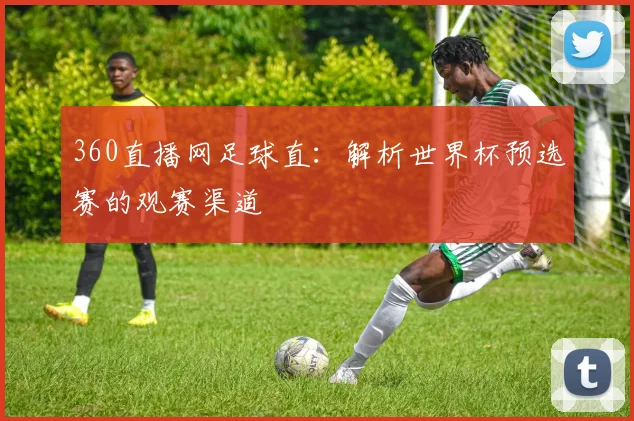 360直播网足球直：解析世界杯预选赛的观赛渠道