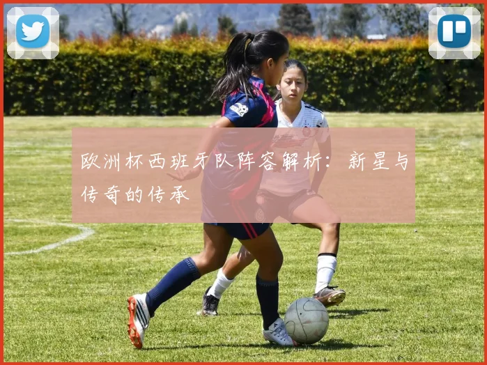欧洲杯西班牙队阵容解析：新星与传奇的传承