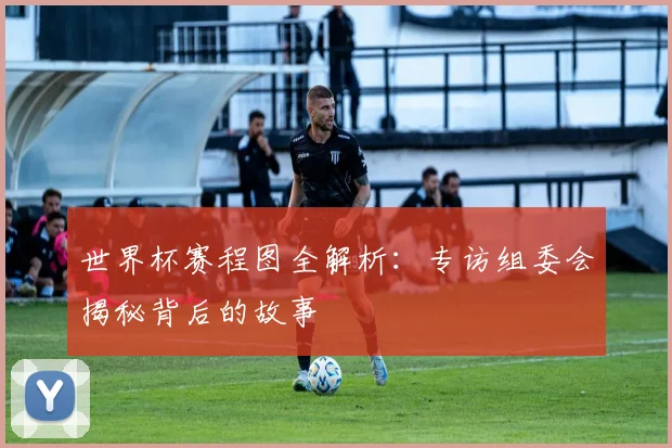 世界杯赛程图全解析：专访组委会揭秘背后的故事